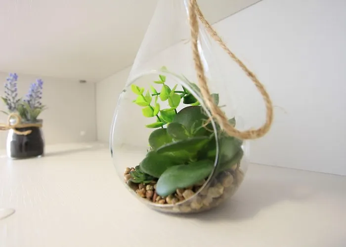 Feriehus House Mirta