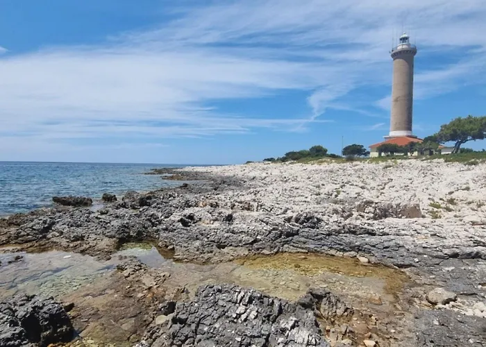 House Mirta Veli Rat